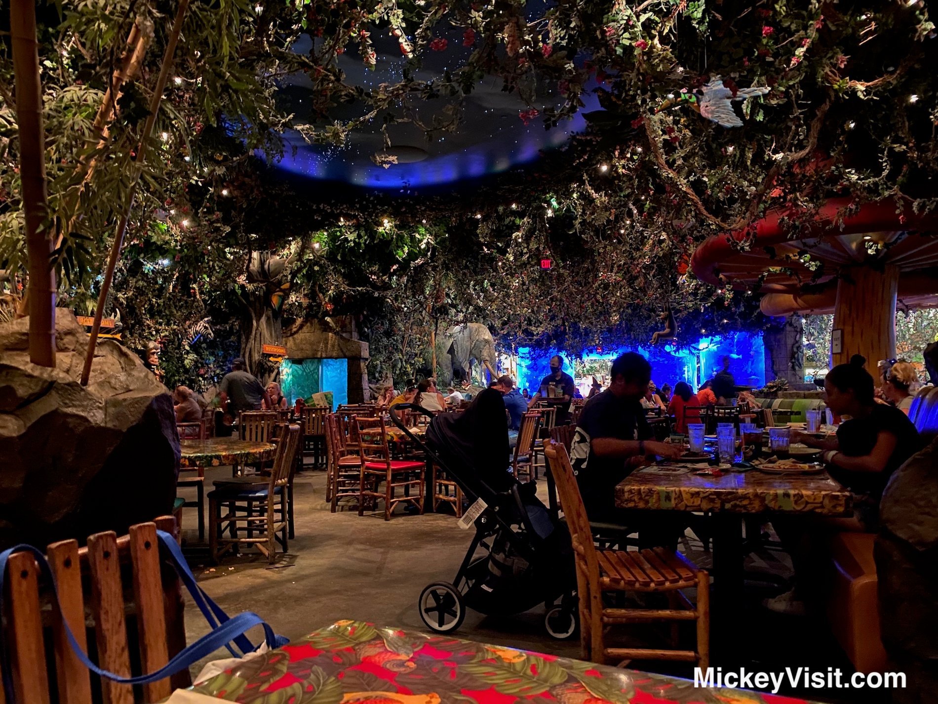 Rainforest Cafe inside