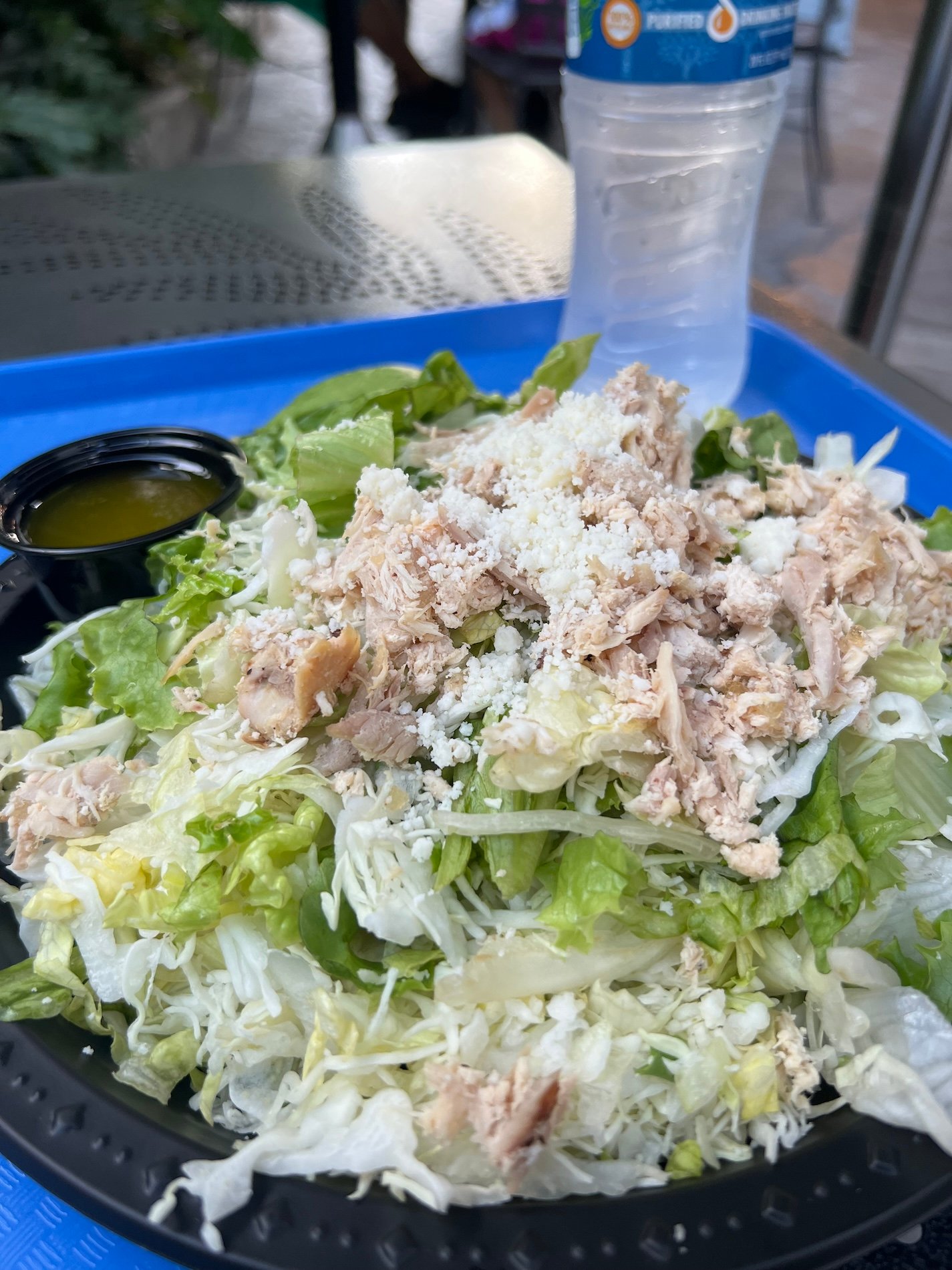 Salad sold at universal studios hollywood jurassic cafe