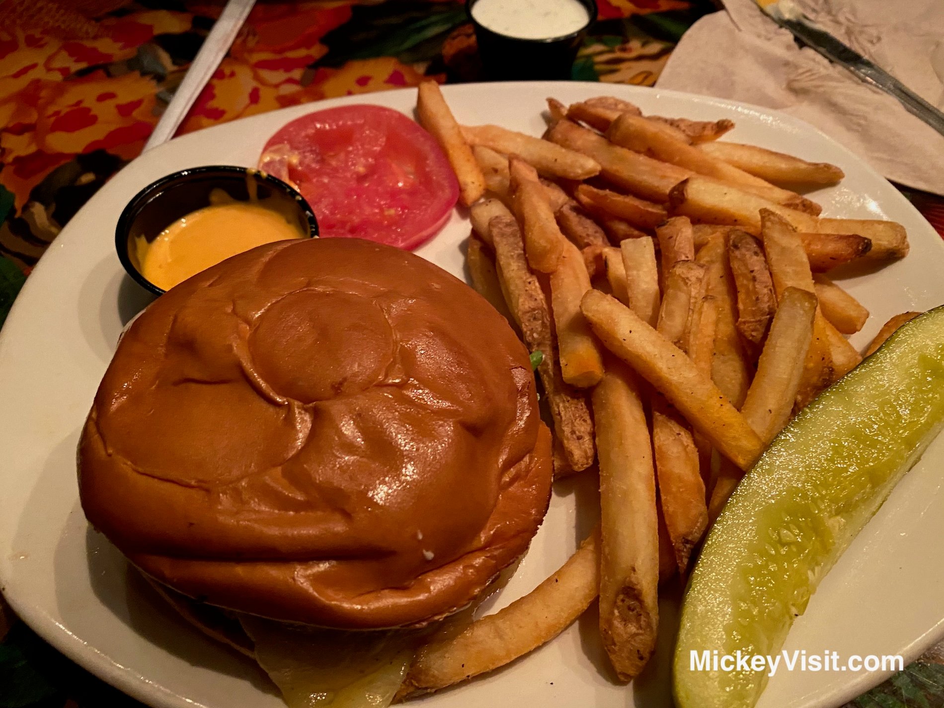 Burger and fries at Rainforest Cafe