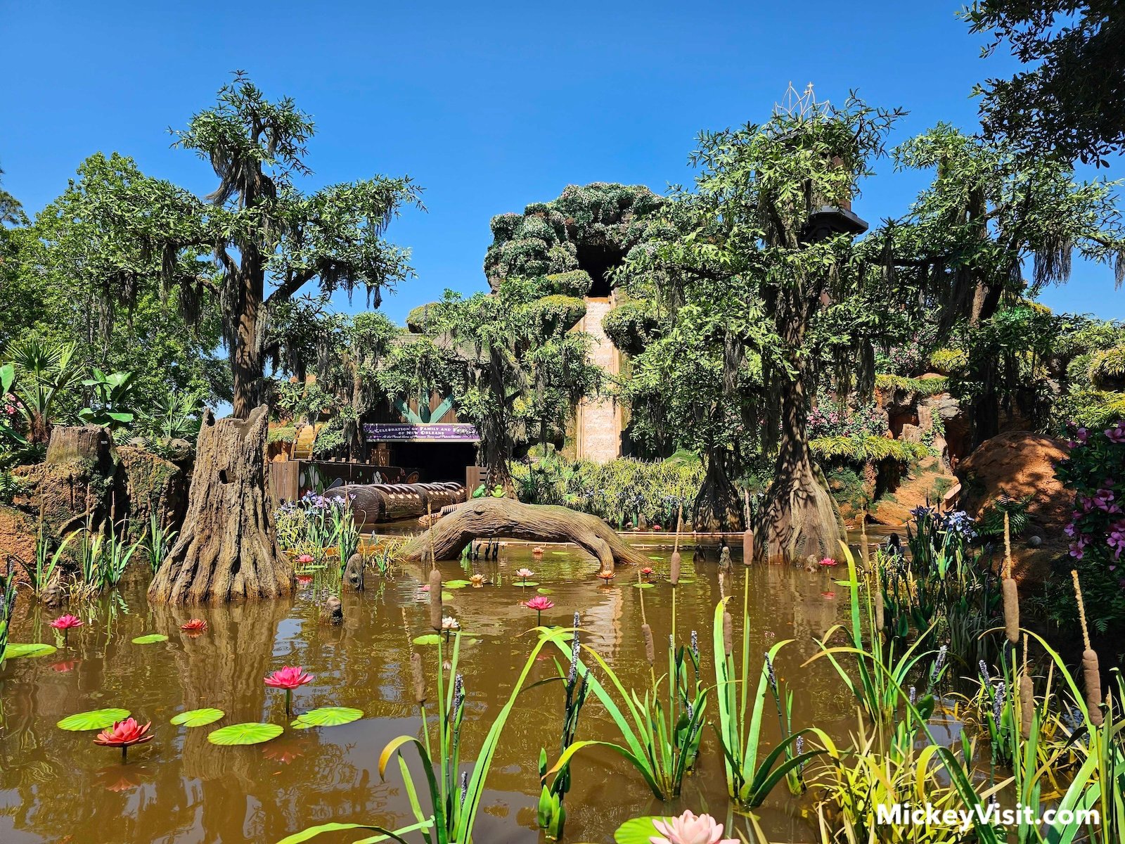 Tiana's Bayou Adventure