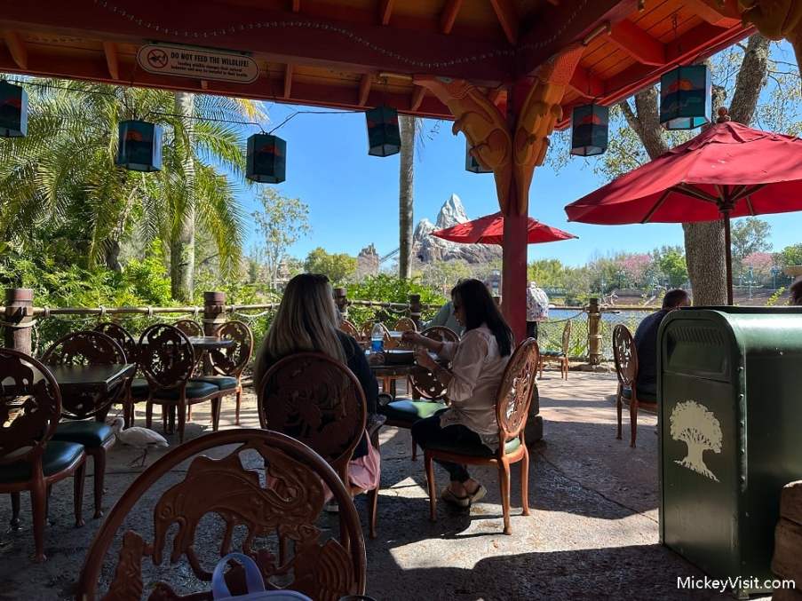 flame tree barbecue view of expedition everest