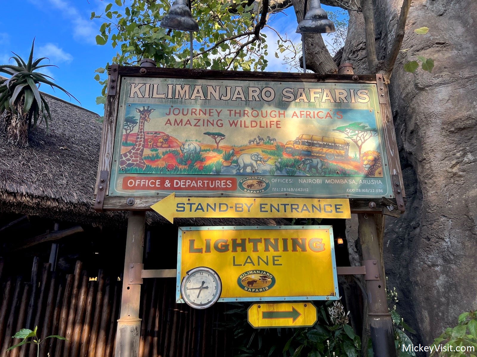 Lightning Lane safari