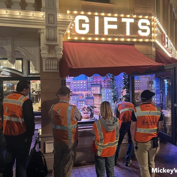 Zootopia window Disneyland