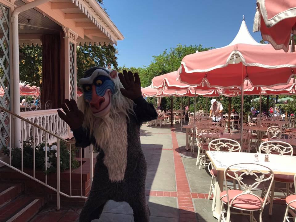 Rafiki at Minnie & Friends