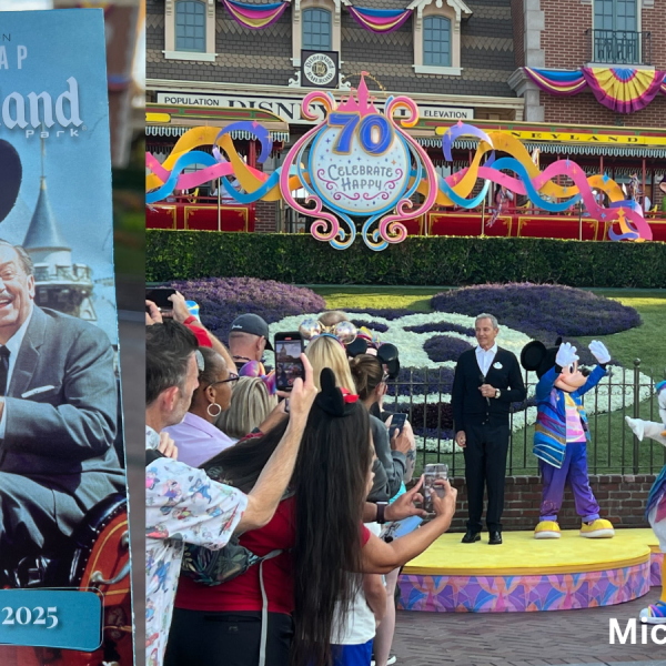 Disneyland greeting guests